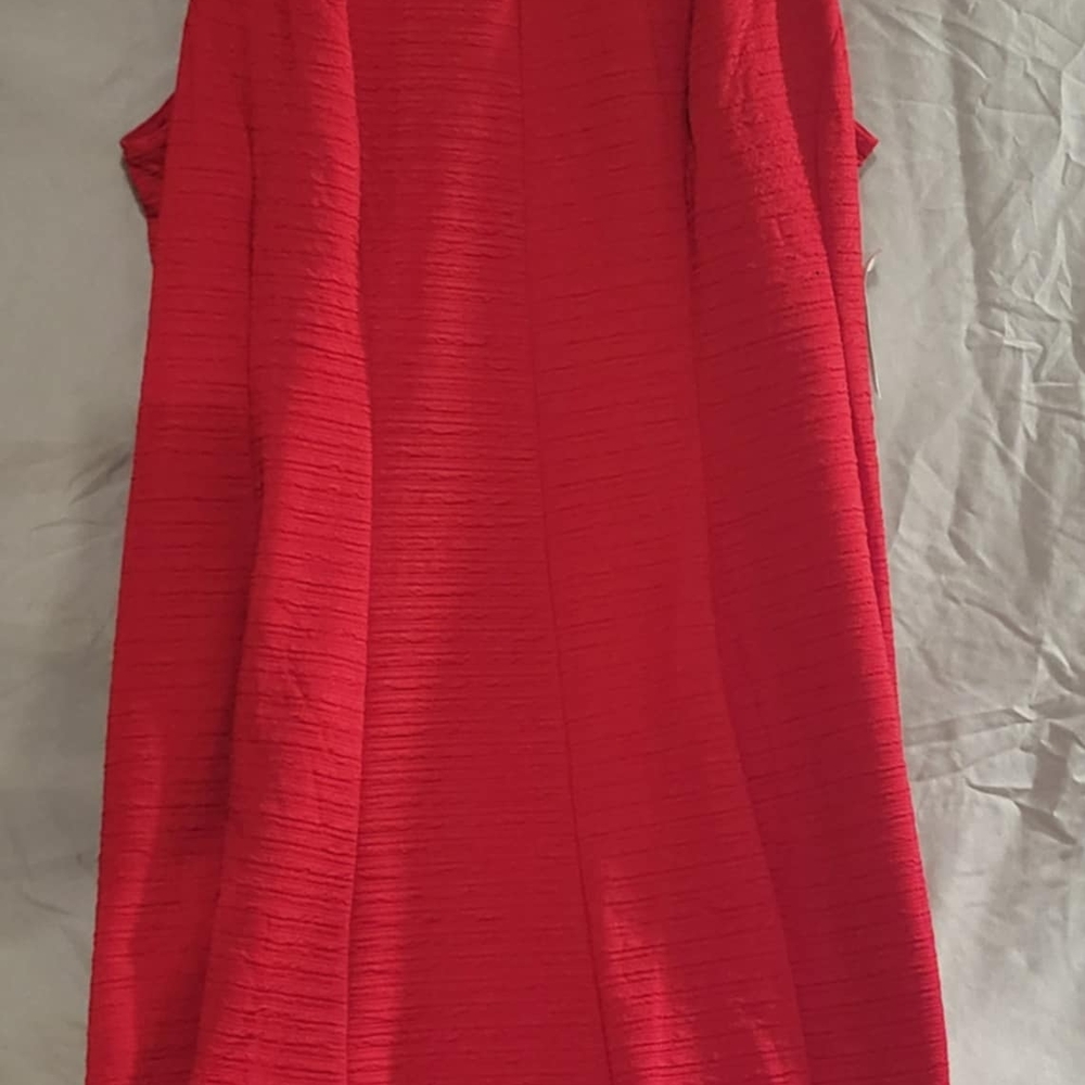 Sandra Darren Red Ribbed Pleated Sheath Mini Dress